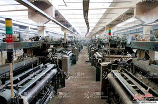 最后的辉煌 仪征市化纤纺织厂大型再生录纪实